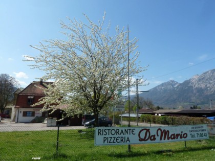 Foto: Ristorante Pizzeria Da Mario